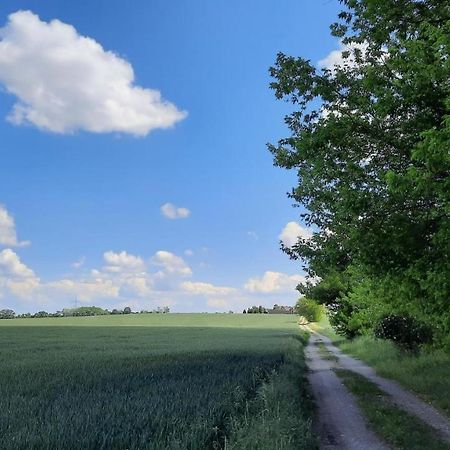 Vierseitenhof Hasenfelde - Ferienwohnung Feldblick Steinhofel Bagian luar foto