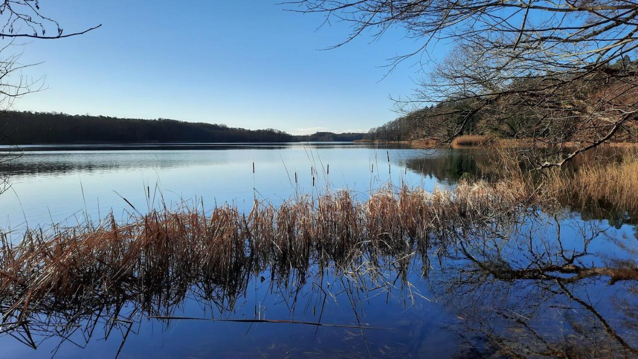 Vierseitenhof Hasenfelde - Ferienwohnung Feldblick Steinhofel Bagian luar foto