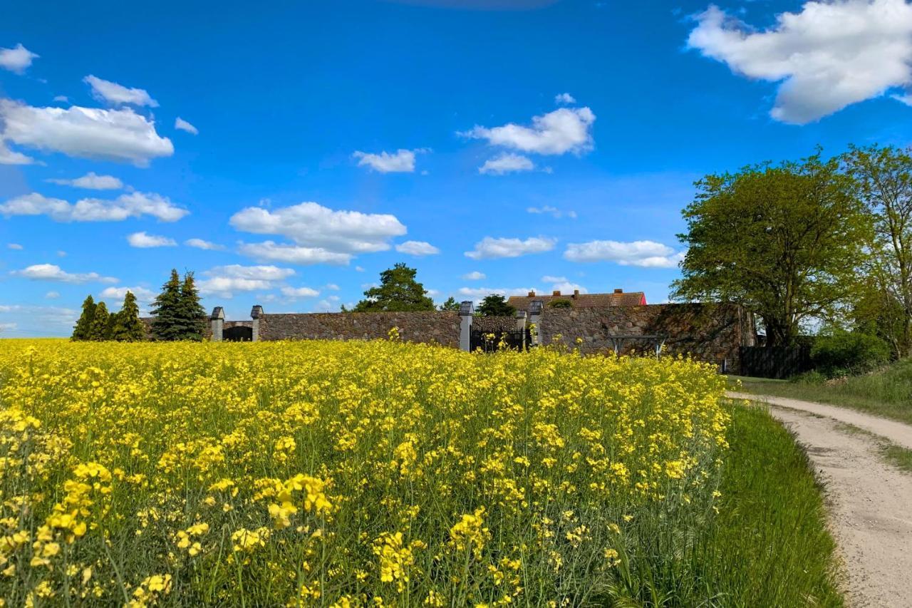 Vierseitenhof Hasenfelde - Ferienwohnung Feldblick Steinhofel Bagian luar foto