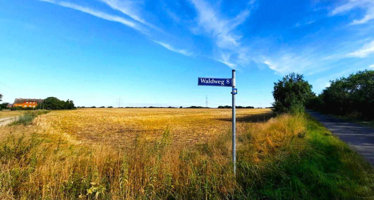 Vierseitenhof Hasenfelde - Ferienwohnung Feldblick Steinhofel Bagian luar foto