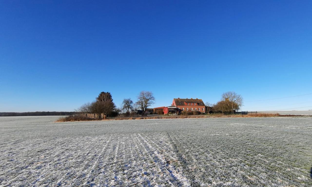 Vierseitenhof Hasenfelde - Ferienwohnung Feldblick Steinhofel Bagian luar foto