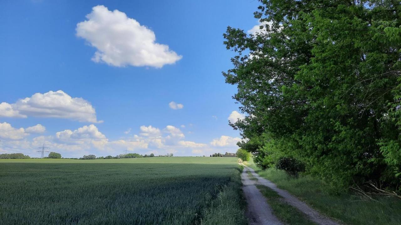 Vierseitenhof Hasenfelde - Ferienwohnung Feldblick Steinhofel Bagian luar foto